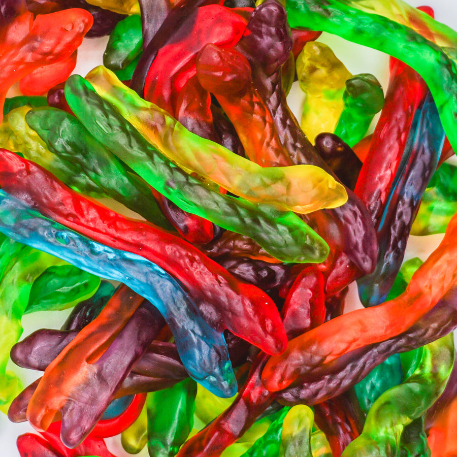 Twin Snake Gummies – Marini's Candies